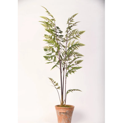 60'' Faux Fern Tree in Planter