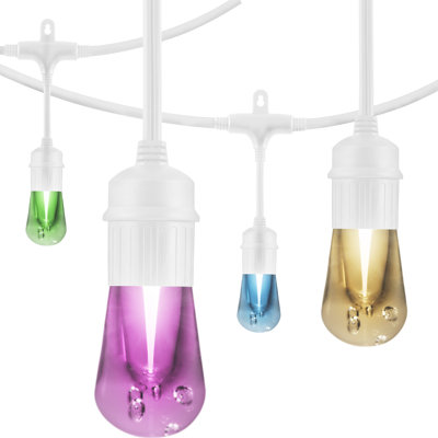 Vintage Seasons Outdoor 24 - Bulb 48'' Plug-in LED String Light