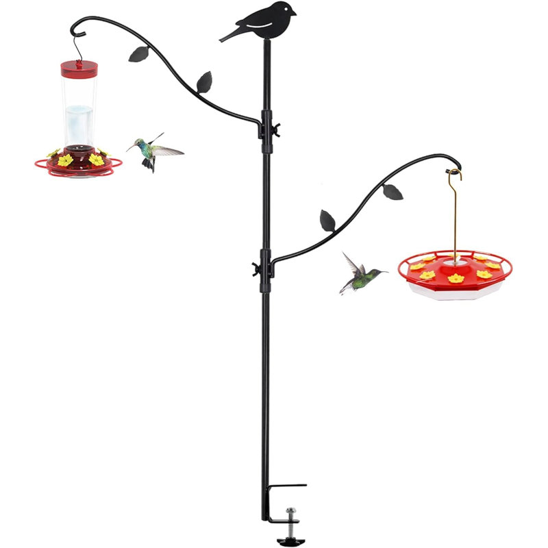 Sorinel Squirrel Guard