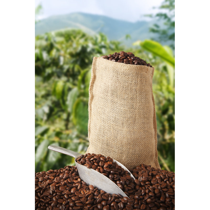 Coffee Bag And Plantation Behind by Narvikk - No Frame Print on Canvas, 76cm H x 51cm W