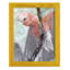 Tropic Parrot II encadré sur papier-1847621152-1847621183