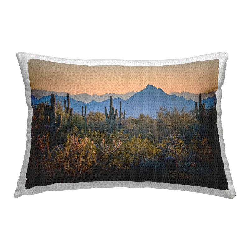 Coussin d'extérieur imprimé contrastant "Desertscape Scene" par Marty Hulsebos