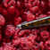 Tortoise 4 - Piece Stainless Steel Flatware Set - Service for 1
