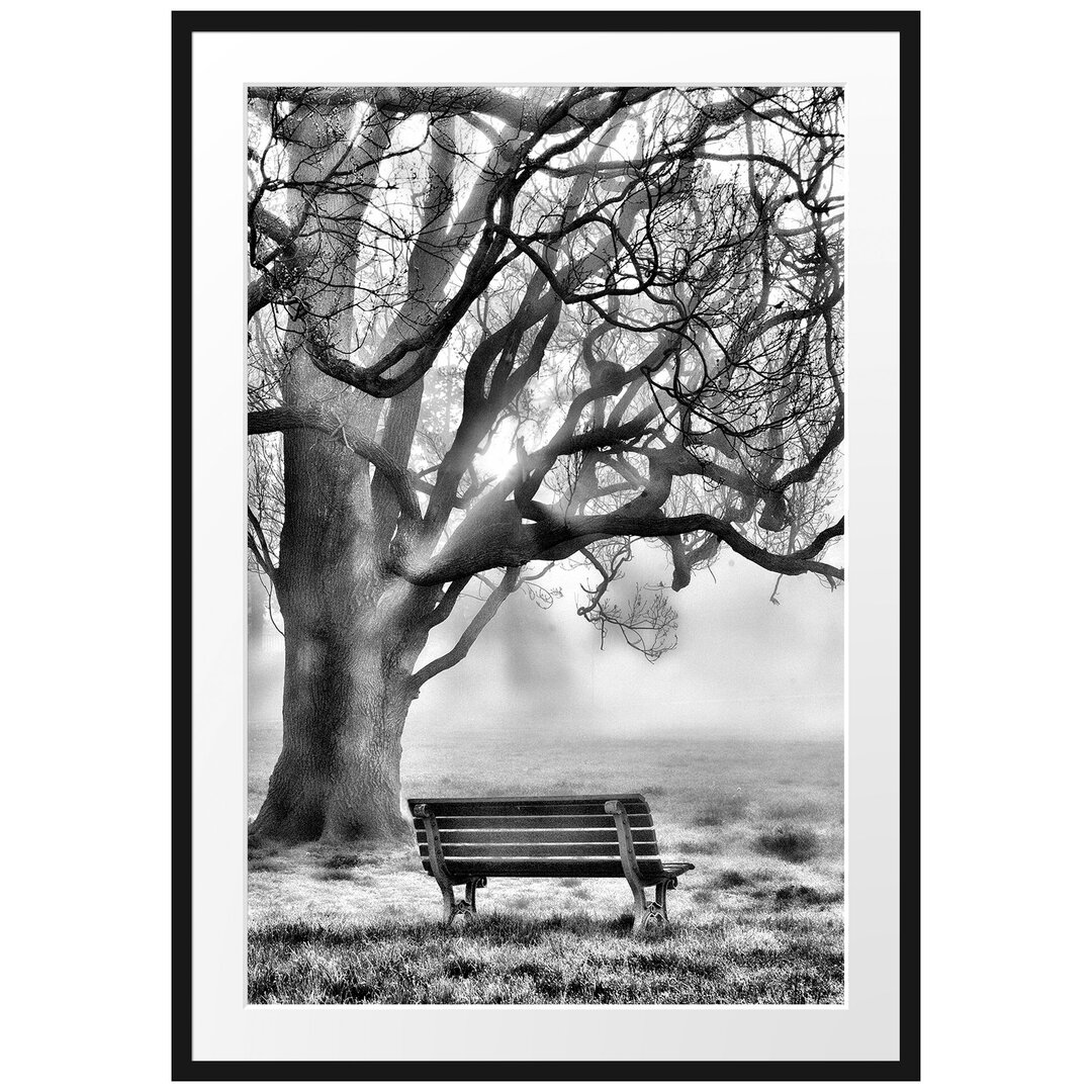 Gerahmtes Poster Baum und Bank im Nebel