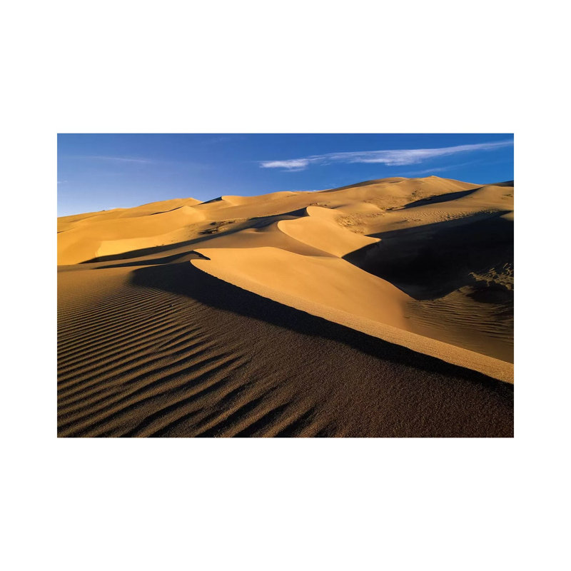 750' Sand Dunes, Tallest In North America, Great Sand Dunes National Monument by Tim Fitzharris - Wrapped Canvas Print
