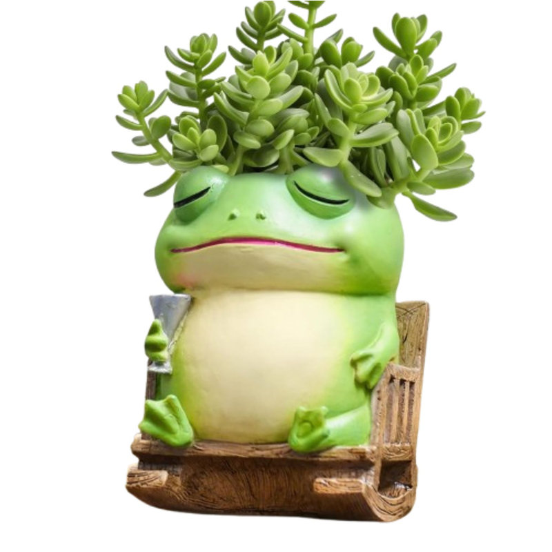 Unique Frog Plant Pots Indoor With Drainage Hole