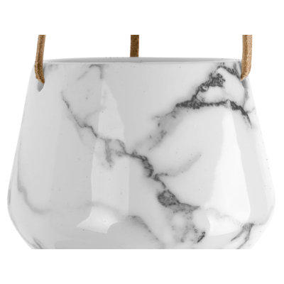 Tiggs Ceramic Hanging Planter