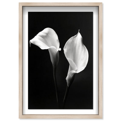 Calla Lily Framed Graphic Art