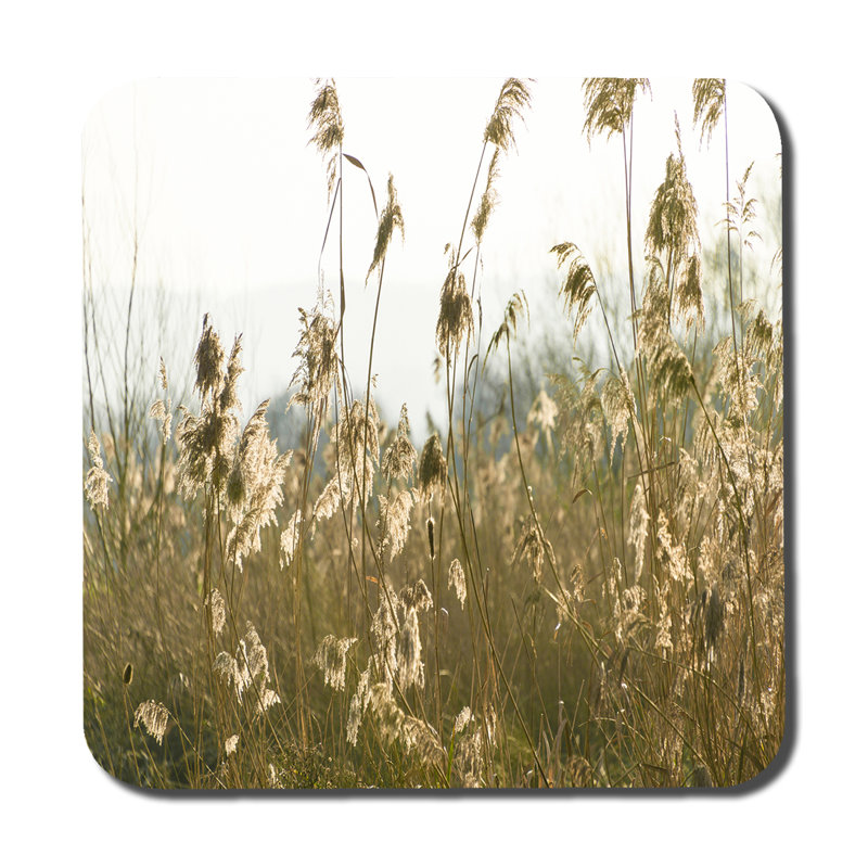 Drakos Square 6 Piece Coaster Set