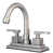 Satin Nickel selected