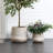 Blended Tan with Wood Pattern Round Tapered Tall MgO Planter, Indoor and Outdoor-1094987994