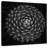 Harnek Agave Victoria-109358504