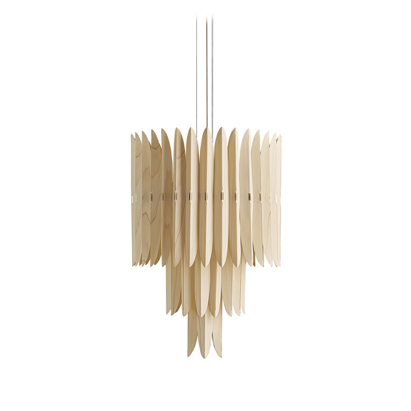16 - Light Chandelier