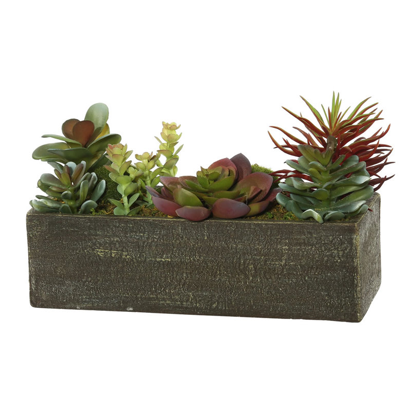 Plante grasse artificielle en bois