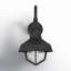 Hollis 1 - Light Outdoor Barn Light-914249934