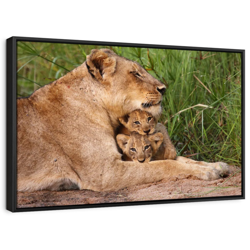 " Motherly Lioness ", 31" H x 21" W