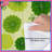 Floral Bedding Pattern Comforter Scandinavian-122891652
