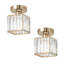 Canis Semi Flush Mount