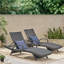 Ensemble de 2 chaises longues en osier avec accoudoirs en PE