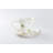 Porcelain Teacup and Saucer