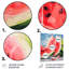«Summertime Watermelon Fruit 2 - Fruits», art mural en métal-251972202