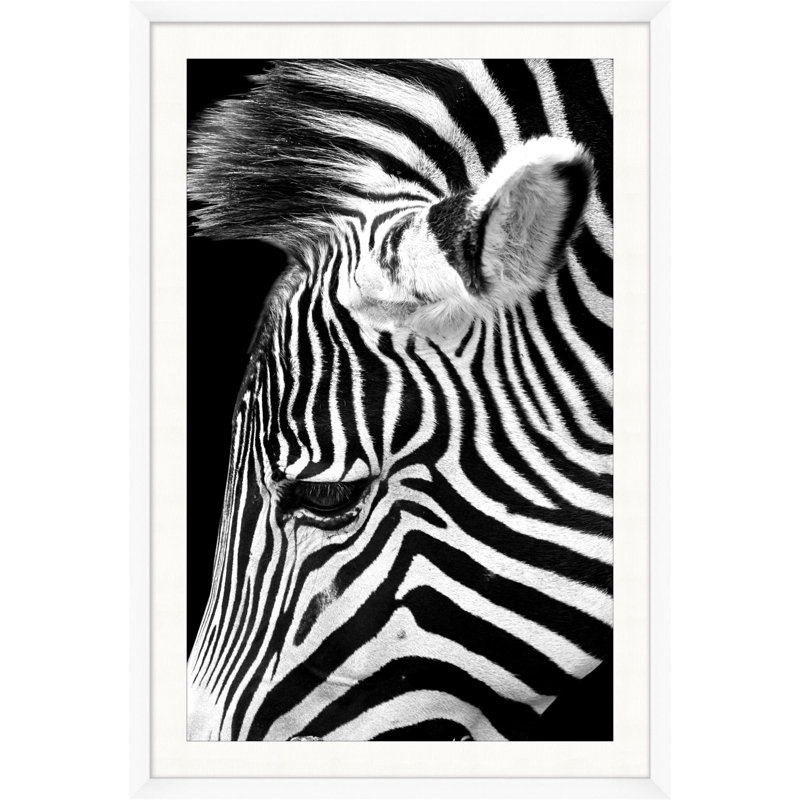 Dynamic Zebra 1 Print by Mat Sanders