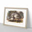 Canadian Lynx by J.W. Audubon - Picture Frame Painting Print-55513736-55513737