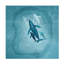 Art sur toile «Bachelor Emel Tunaboylu baleine»-105649253