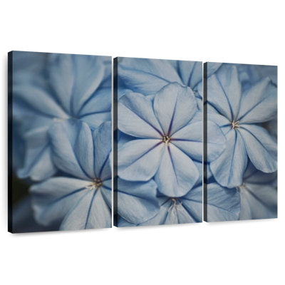 Harnek Blue Jasmine Flowers