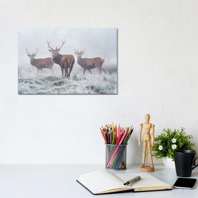 Fogbound by Max Ellis - Wrapped Canvas Print, 20.32 cm H x 30.48 cm W