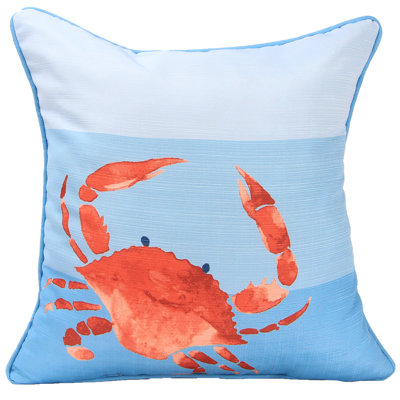 18" x 18" Indoor Throw Pillow