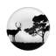 Arnoldina Piece Porcelain China Dinnerware Set - Service for 6