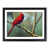 Black Framed selected