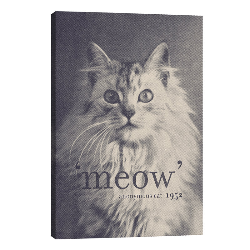 Famous Quotes (Cat) by Florent Bodart - No Frame Print on Canvas, 20.32 cm H x 30.48 cm W