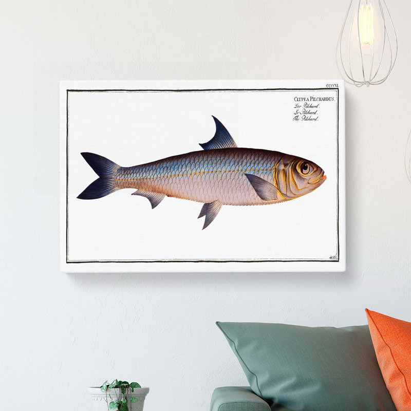 Pilchard Fish by M.E. Bloch - Wrapped Canvas Painting Print, 50cm H x 76cm W x 3cm D