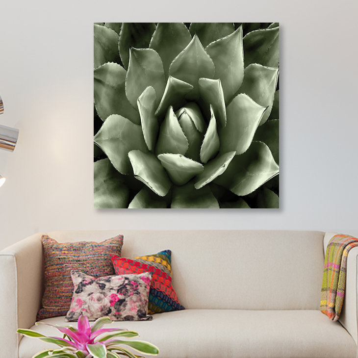 «Succulent II», impression sur toile, H 37 po x l 37 po x P 1,5 po, Papier d'art encadré noir, Pas de tapis