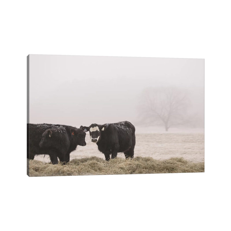 Farm Study 1 Piece Wrapped Canvas Wall Art