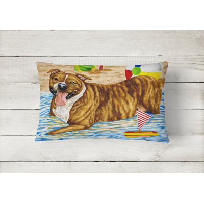 Outdoor Throw Pillow