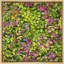 Impression sur toile de jardin botanique coloré-124932525-124932524