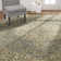 Oriental Indoor Rug