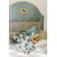 Hedgehog - Luxury Soft Plush Backing & Turkish Cotton Jersey Print, Double Layered, 30" x 40" Baby Blanket