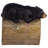 Gutter Guardians Black Bear Downspout Statue