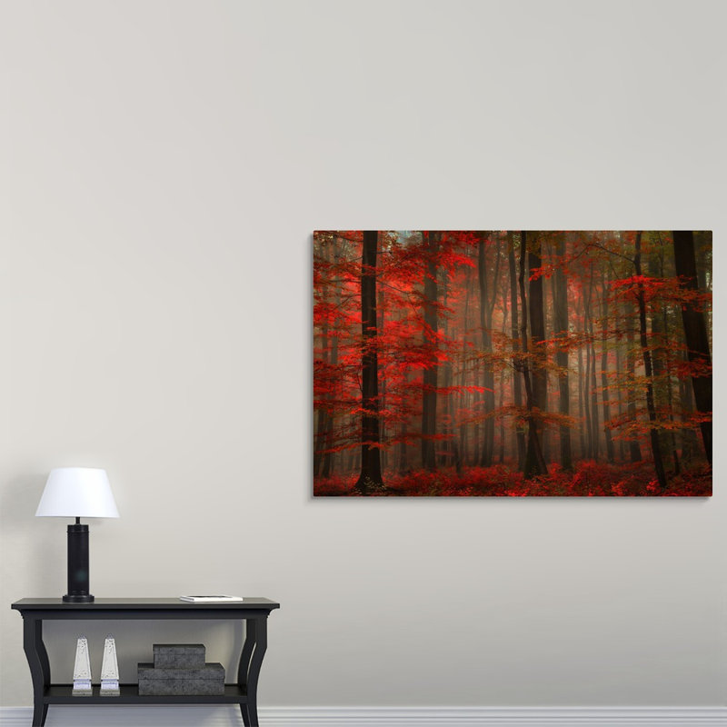 " Enchanting Red " by Philippe Sainte-Laudy, 40" H x 60" W x 1.5" D