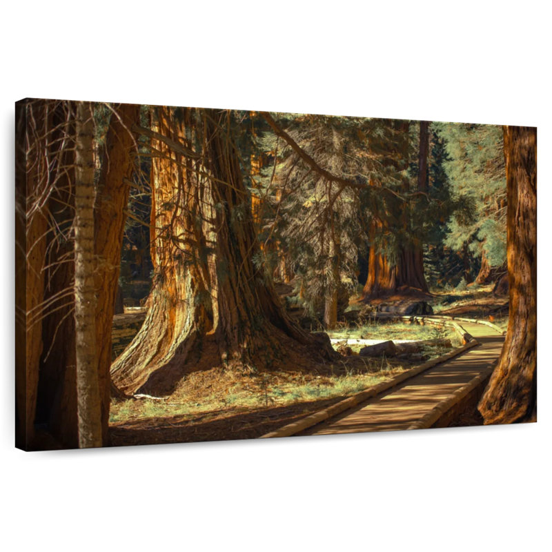 Harnek Sequoia Forest, 34" H x 51" W