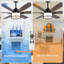 Ventilateur de plafond 60 po avec lumières et télécommande