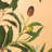 Faux Olive Tree Artificial Indoor, Tall Fake Olive Tree With Moss-857708583