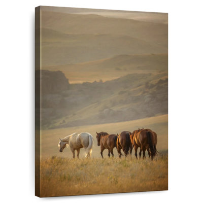 Brampt Sunkissed Horses VI