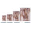 Impression sur toile tendue, "Wild zen III"-25789100