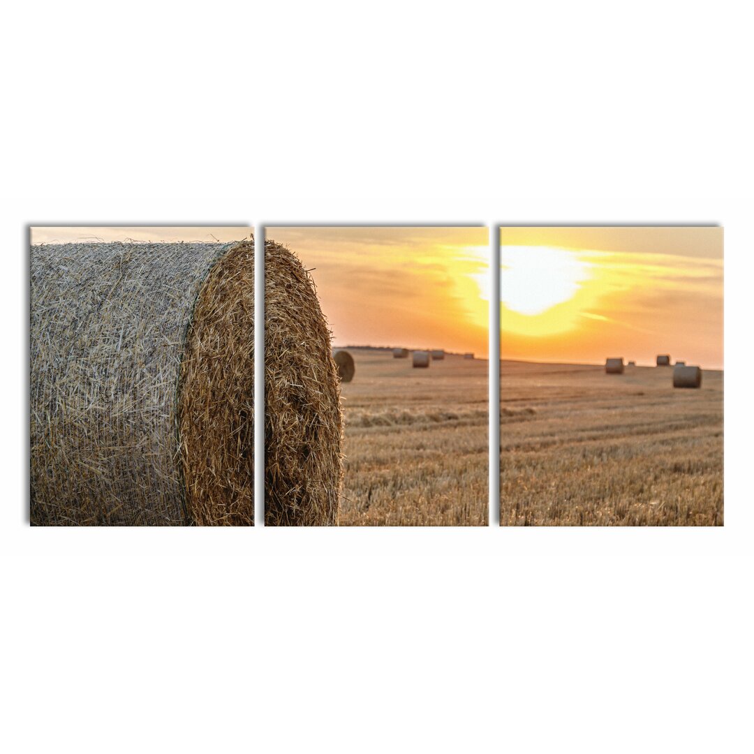 3-tlg. Leinwandbilder-Set Straw Bales on a Field