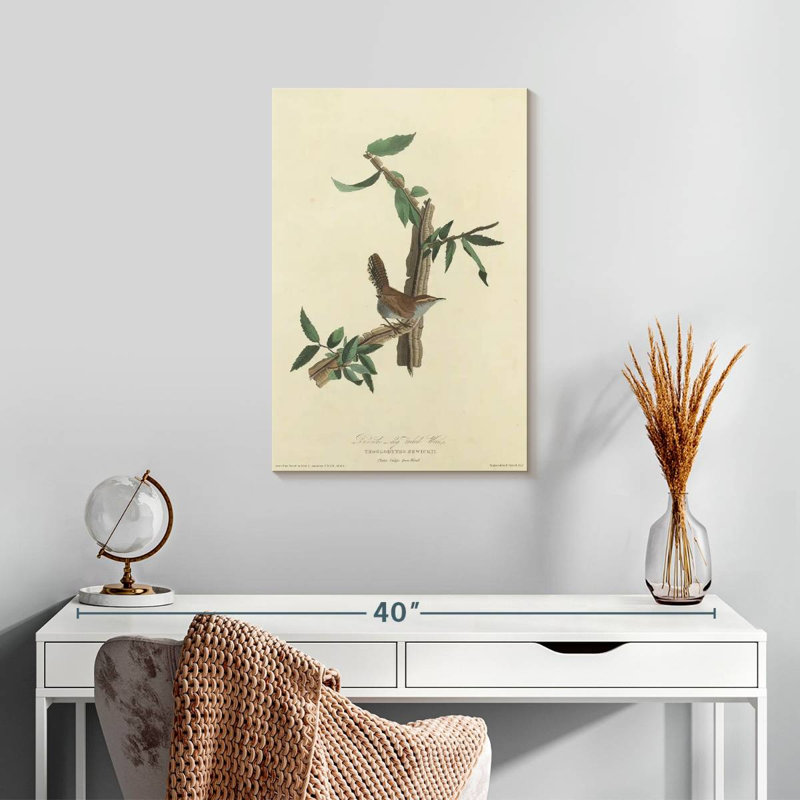 Keiri Bewick's Wren, 24" H x 16" W